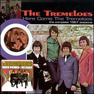 The Tremeloes - Here Come the Tremeloes - Zortam Music