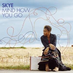 Skye - The Remixes - Zortam Music