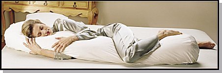 Sleeping Bean Body Pillow Staph Chek Shell, Hypoallergenic Fill and Pillowcase - Natural