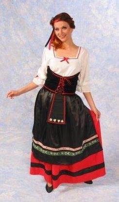 Ladies Oktoberfest Costume (Hair Ribbon not included)