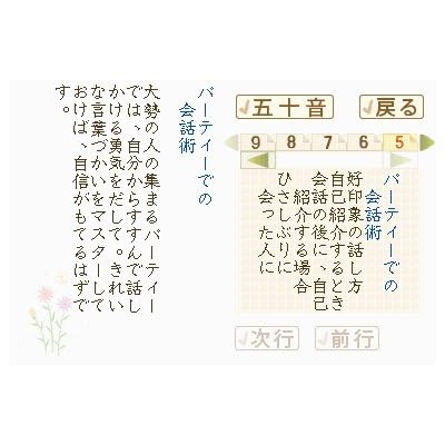 美しい日本語の書き方・話し方DS