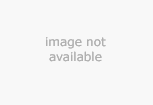 Hi-Capacity Cell Phone Battery for Ericsson 197, 200, 237, 300, 337, 338 & AH200