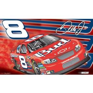 Dale Earnhardt Jr. #8 2-Sided 3 Ft. X 5 Ft. Flag w Grommetts