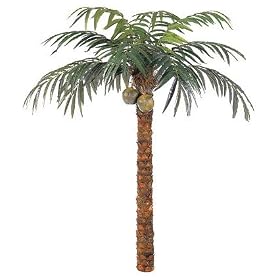 12' Coconut Palm Tree