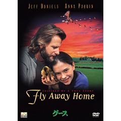 Amazon.co.jp�A�\�V�G�C�g
