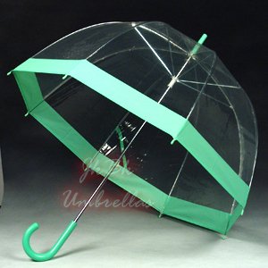 Clear Bubble Umbrella - Green Trim