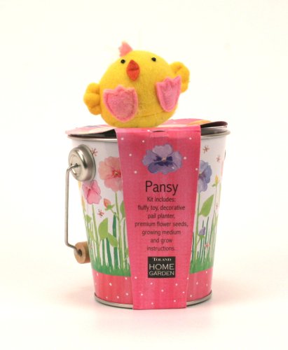Pansy Spring Garden Kit
