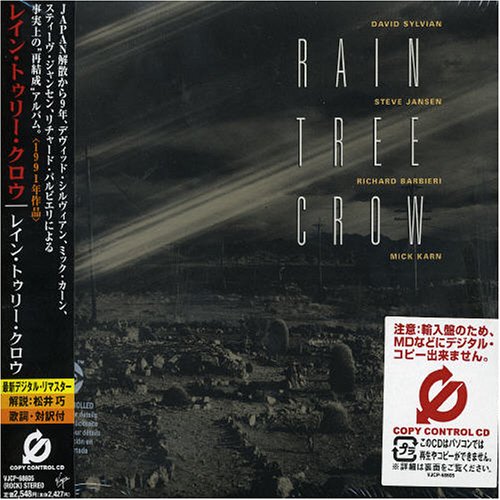 Rain Tree Crow