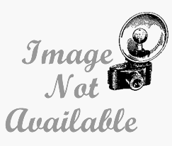 TPI 12 HP 30in Heavy Duty Fan Head