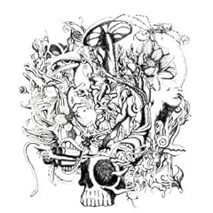 【クリックで詳細表示】anima(DVD付) [CD＋DVD]