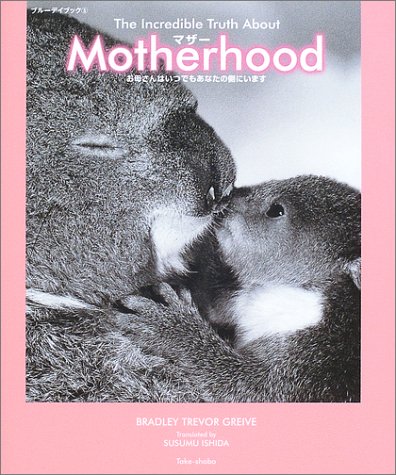 Motherhood �ޥ��� (�֥롼�ǥ��֥å����꡼��)