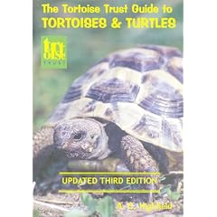 The Tortoise Trust Guide to Tortoises and Turtles (Paperback) 
by A.C. Highfield (Author) 