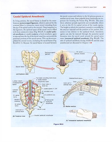 Clinically Oriented Anatomy (5th Edition) (Paperback)