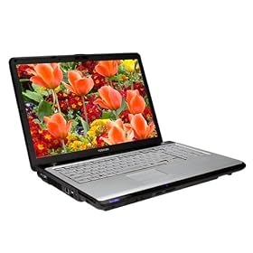 Toshiba Satellite P205-S6287 17 inch Notebook PC Picture