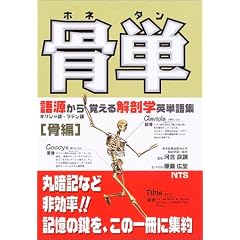 骨単―ギリシャ語・ラテン語