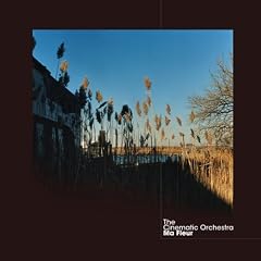 The Cinematic Orchestra『Ma Fleur』