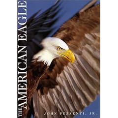 Bald Eagle Pictures
