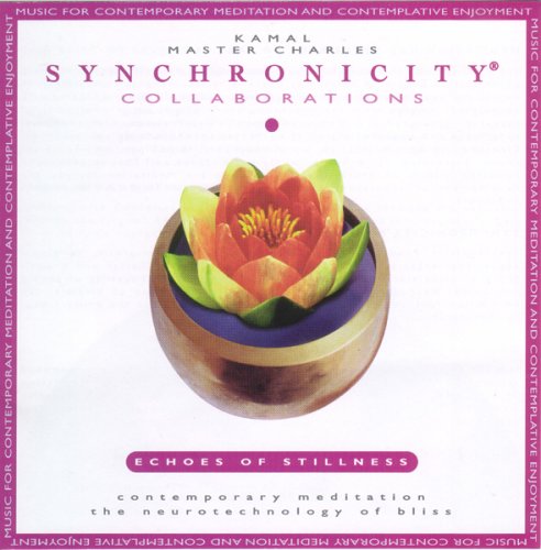 Collaborations:  Echoes of Stillness