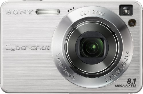 Sony Cybershot DSCW130 8.1MP Digital Camera with 4x Optical Zoom with Super Steady Shot (Silver)
