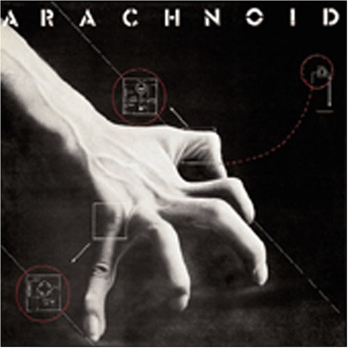 Arachnoid