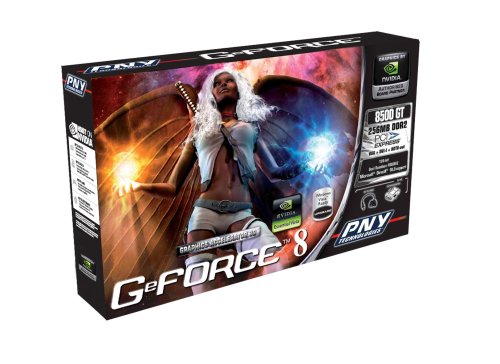 Projektoren: PNY GeForce 8 8500 GT 128Bit 256MB DDR2 PCI-Express Grafikkarte