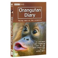 Orangutan Diary