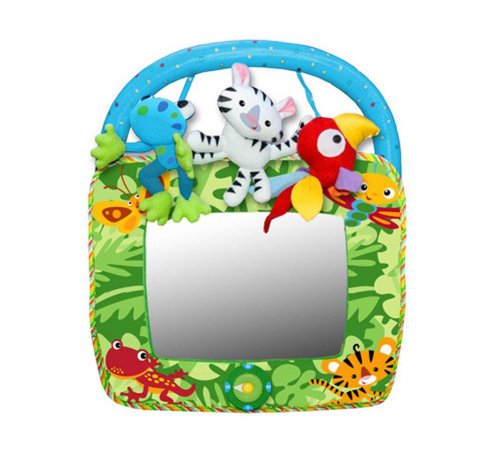 Fisher-Price Rainforest Auto Mirror