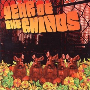 Year of the Rhinos