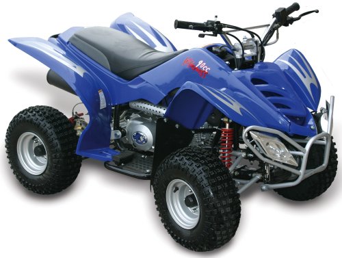 Baja Motorsports WD90 Wilderness 90 ATV (Blue) 