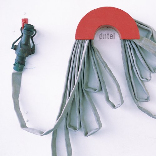 Dntel - Dumb Luck - Zortam Music