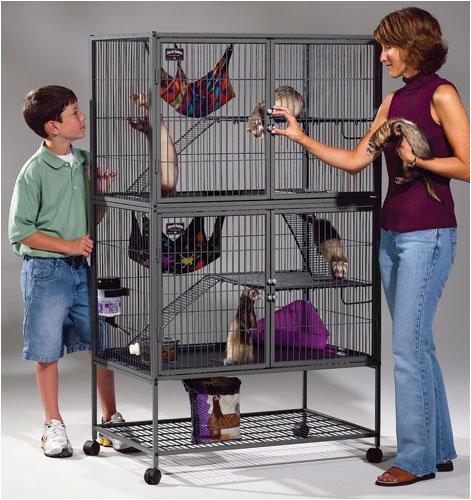 Midwest 142 Ferret Nation Double-Level Ferret Cage with Ramps
