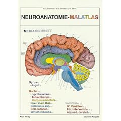 Neuroanatomie - Malatlas (Taschenbuch)